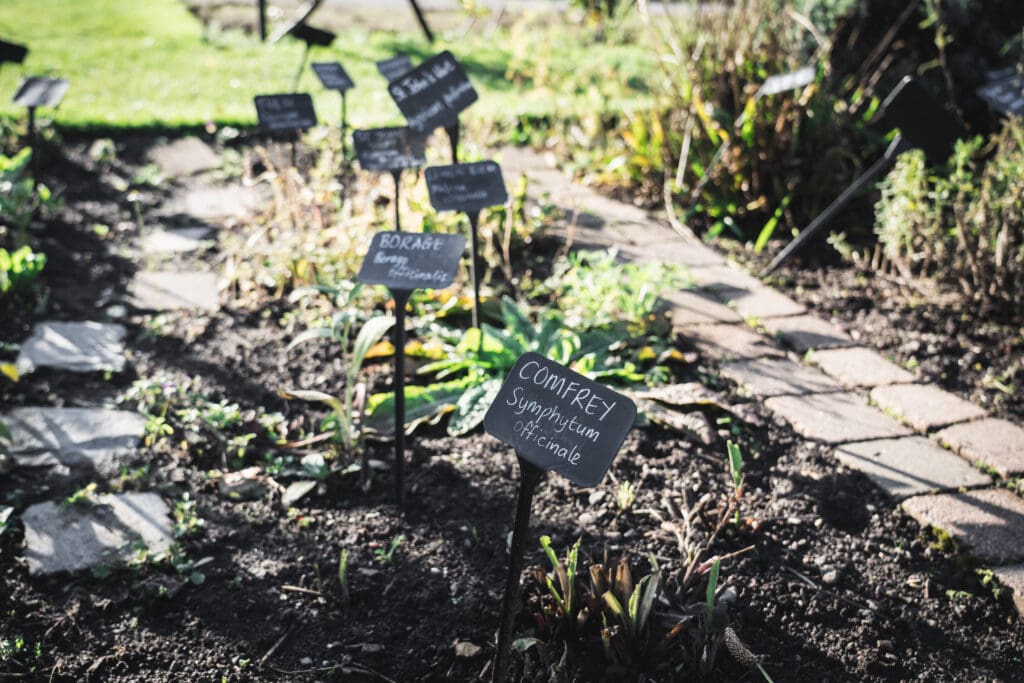 Physics herb garden at Edinburgh's Royal Botanic Garden