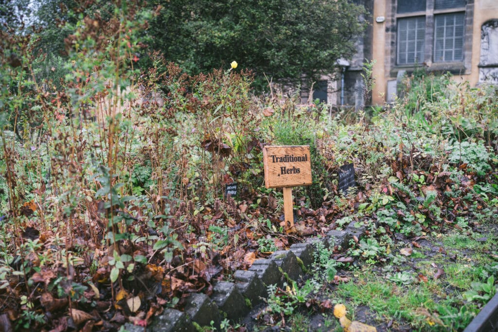 Herb garden in Greyfriars Kirk in Edinburgh